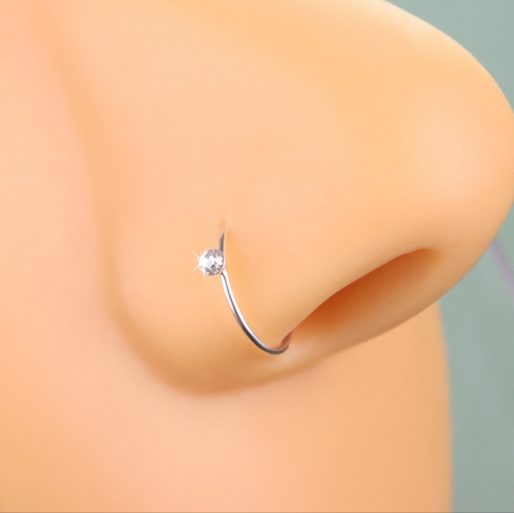 2 Nose Ring Hoops